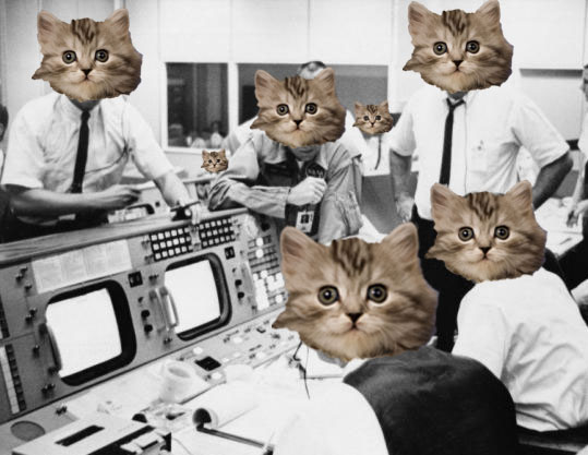 kittensinspace.jpg