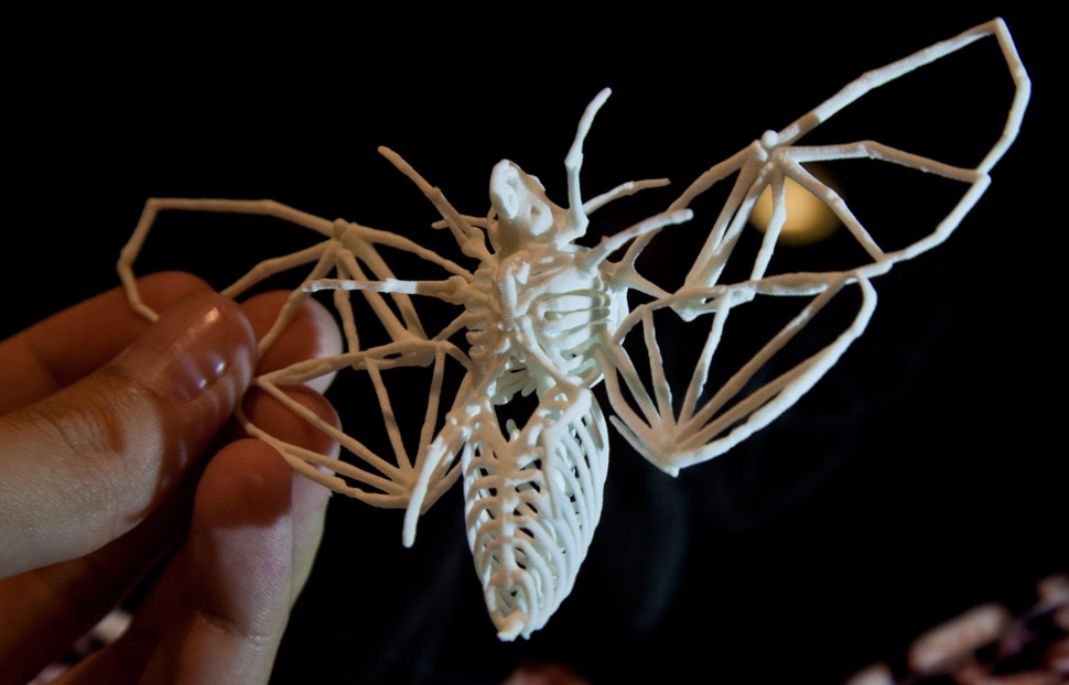 3Dprinted "Death's Head Hawkmoth Skeleton" sculptures