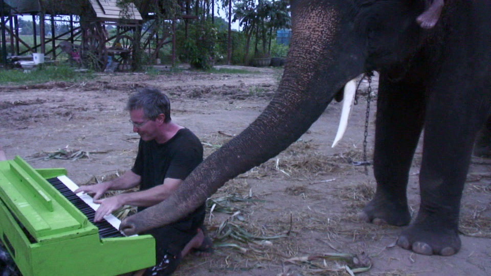 Elephant plays piano / Boing Boing