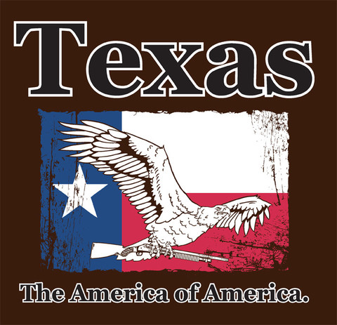 [Image: Texas_large_large1.jpg]