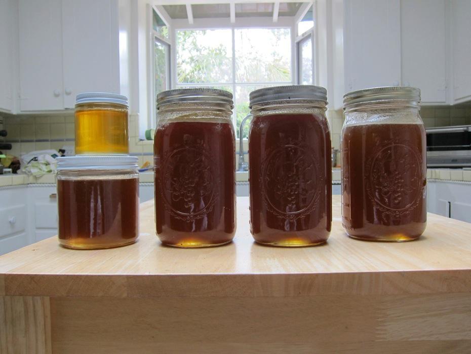 Harvesting my backyard honey (and your chance to get a jar) Boing Boing