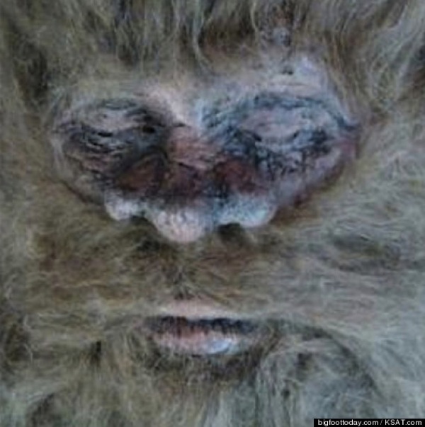 o-RICKDYERBIGFOOT-570.jpg O RICKDYERBIGFOOT 570