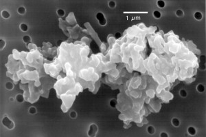 Porous_chondriteIDP