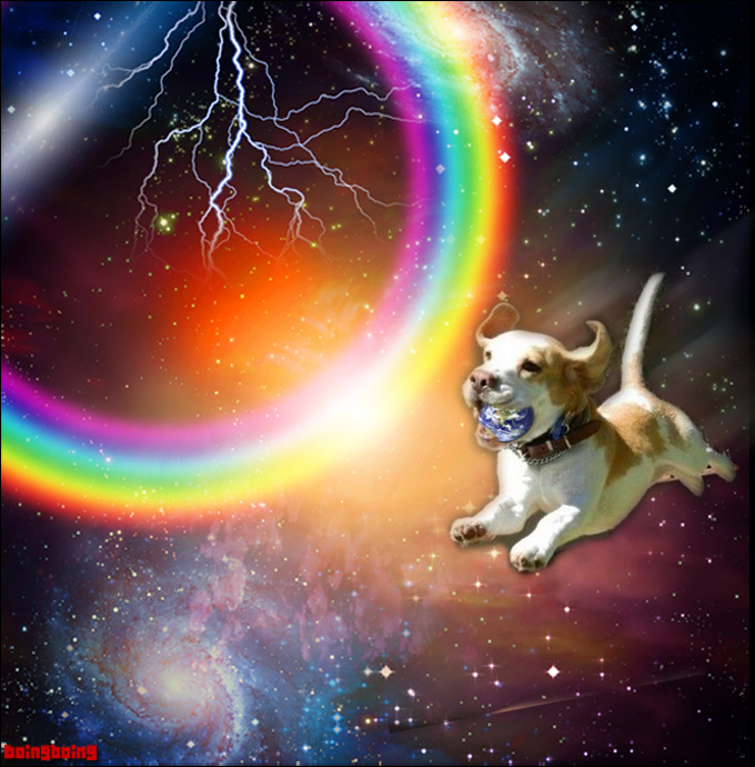 doggiespace680