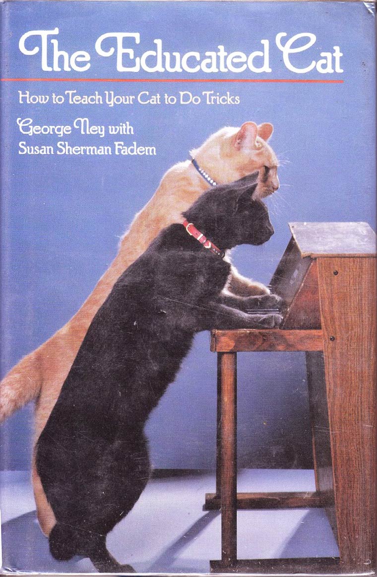 http://media.boingboing.net/wp-content/uploads/2014/12/awful-library-books-19.jpg