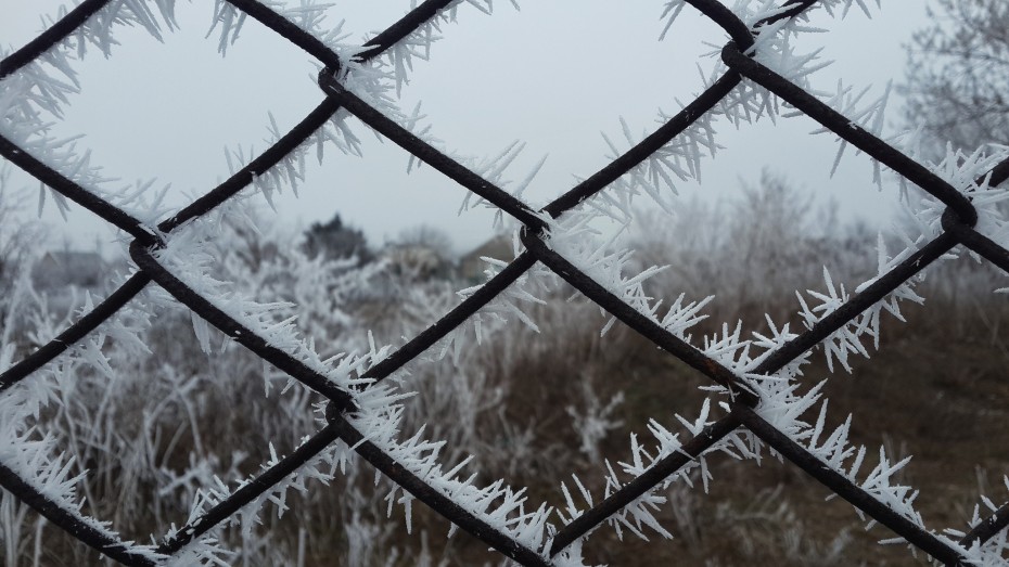 16535552735_b6c30792c8_k