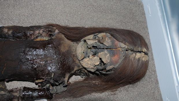 chinchorro-mummy-chile.jpg