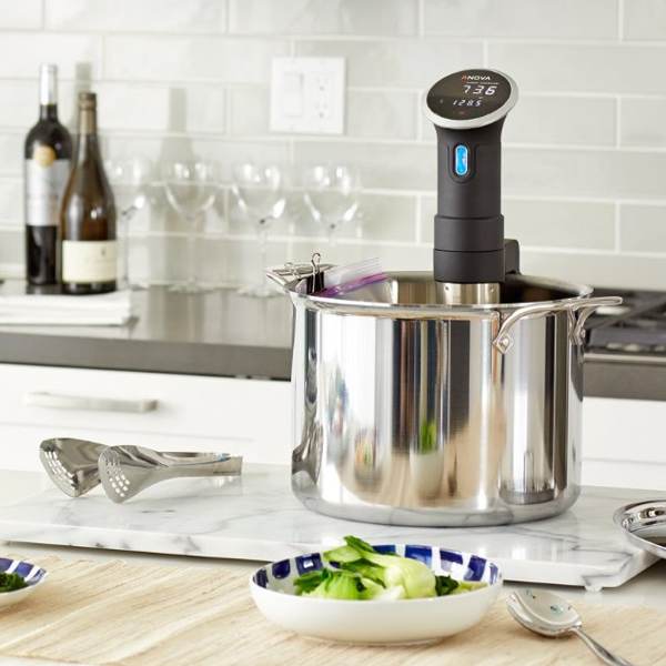 Cooking with an Anova sousvide immersion circulator / Boing Boing