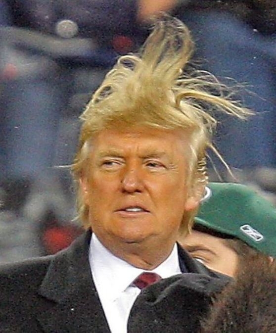 http://media.boingboing.net/wp-content/uploads/2015/07/trump-hair.jpg