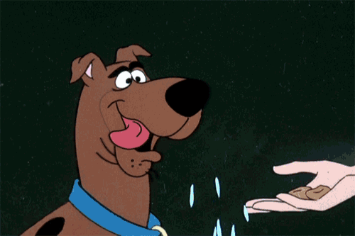 Image result for SCOOBY DOO GIFS