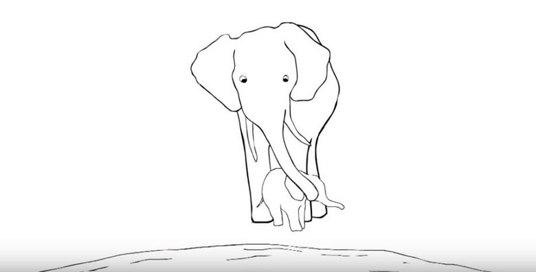 Second Elephant Image