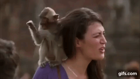 monkey-floss