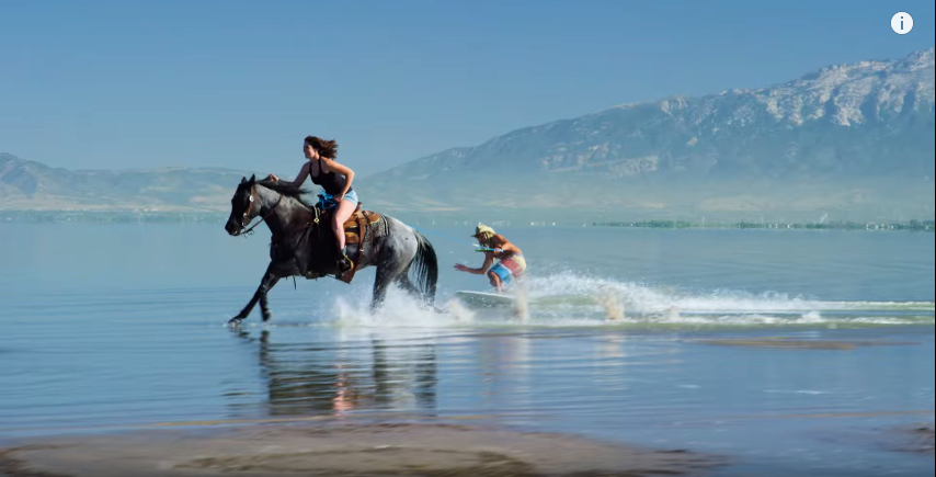 skimboard-horse