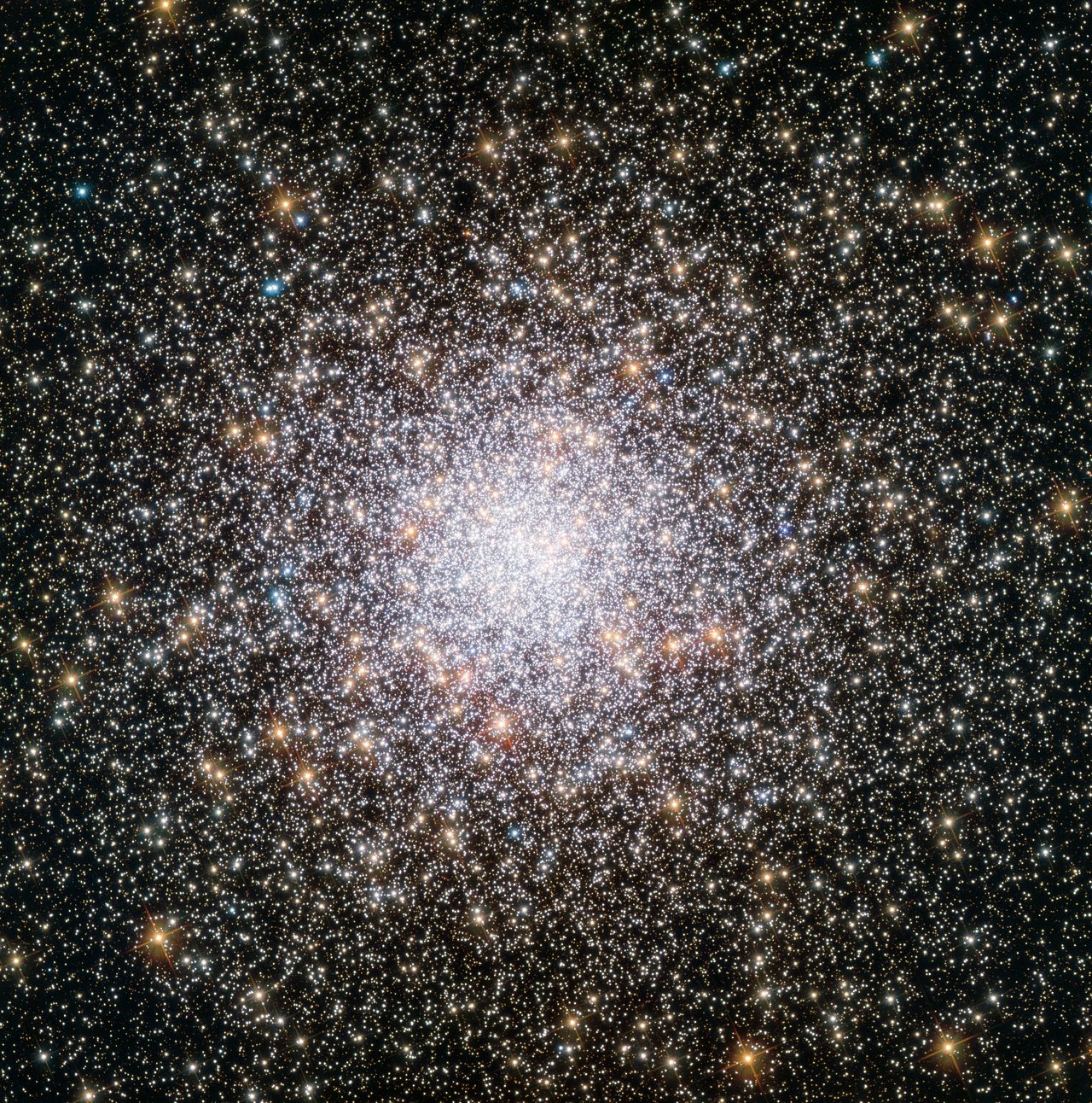   Globular clusters offer some of the most spectacular sights in the night sky. These ornate spheres contain hundreds of thousands of stars, and reside in the outskirts of galaxies. The Milky Way contains over 150 such clusters - and the one shown in this NASA/ESA Hubble Space Telescope image, named NGC 362, is one of the more unusual ones. As stars make their way through life they fuse elements together in their cores, creating heavier and heavier elements - known in astronomy as metals - in the process. When these stars die, they flood their surroundings with the material they have formed during their lifetimes, enriching the interstellar medium with metals. Stars that form later therefore contain higher proportions of metals than their older relatives. By studying the different elements present within individual stars in NGC 362, astronomers discovered that the cluster boasts a surprisingly high metal content, indicating that it is younger than expected. Although most globular clusters are much older than the majority of stars in their host galaxy, NGC 362 bucks the trend, with an age lying between 10 and 11 billion years old. For reference, the age of the Milky Way is estimated to be above 13 billion years. This image, in which you can view NGC 362's individual stars, was taken by Hubble's Advanced Camera for Surveys (ACS).