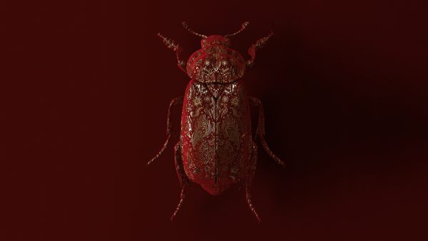 engraved-entomology-02