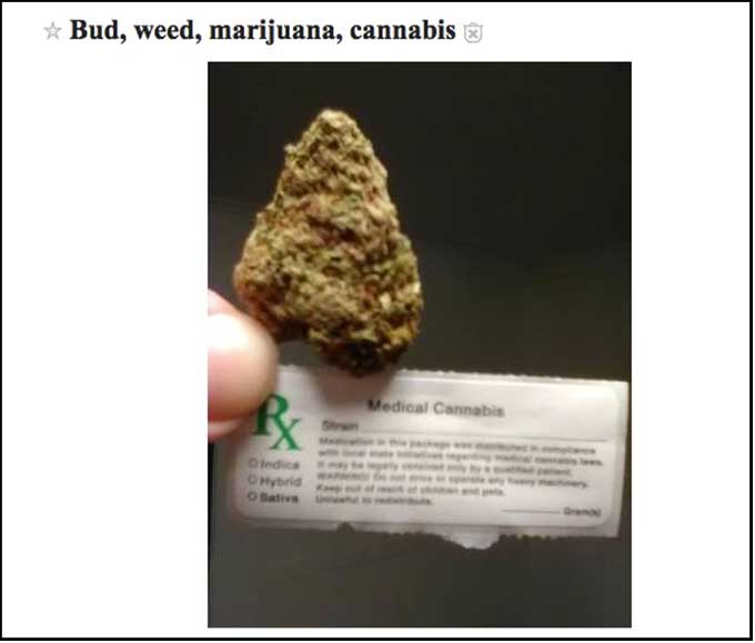 bud.jpg