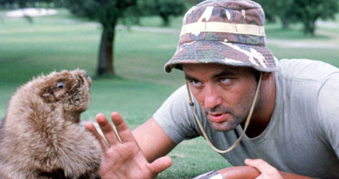 Bill-Murray-Caddyshack-gopher.jpg