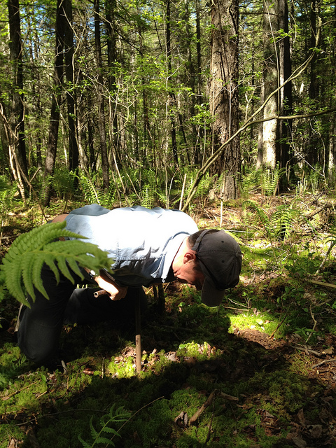 How to: Collect 6,000-year-old swamp mud - Boing Boing