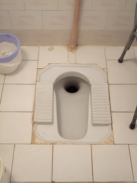 How To Use A Squat Toilet Boing Boing 
