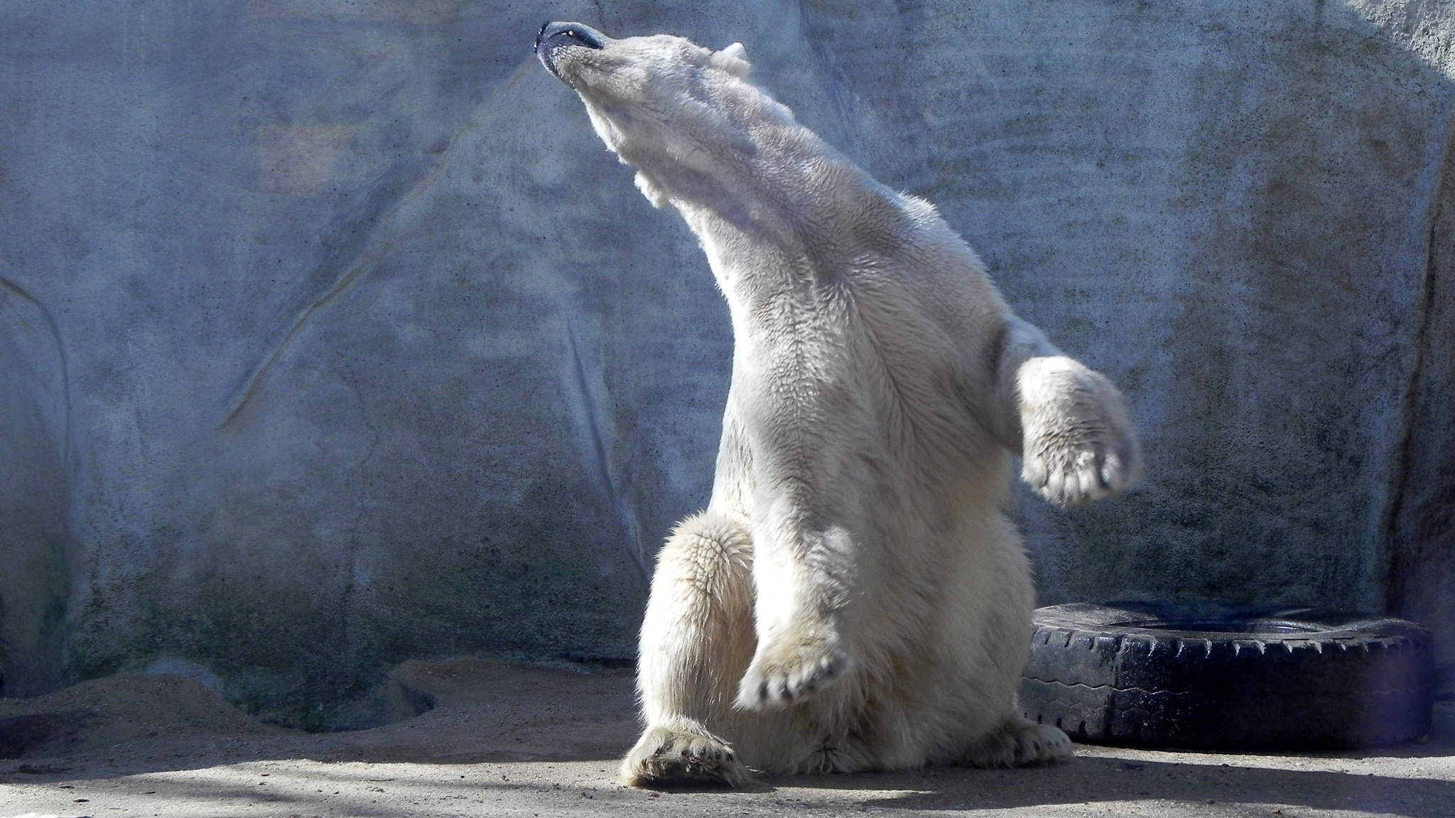 14970868977_3c07e6478e_k