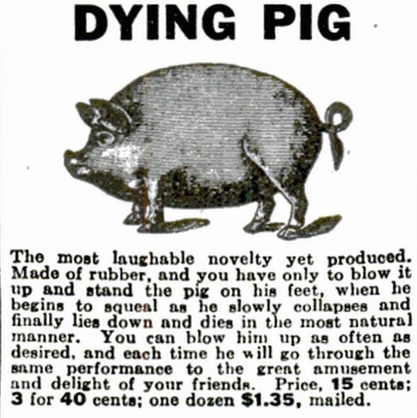 Dying Pig - 