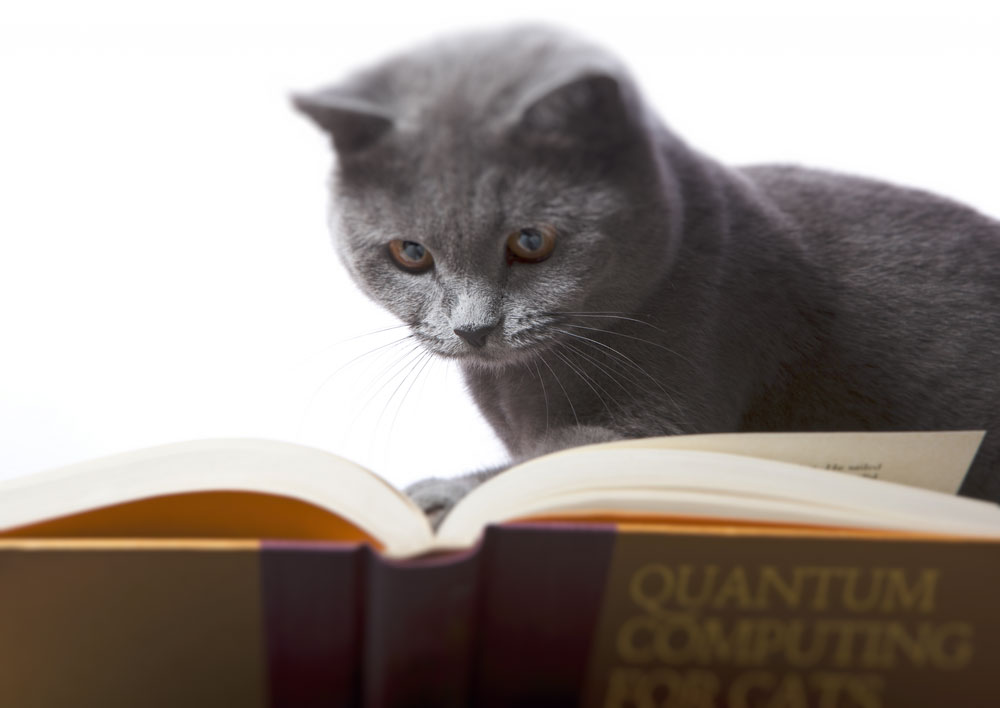 Quantum computing breakthrough announced