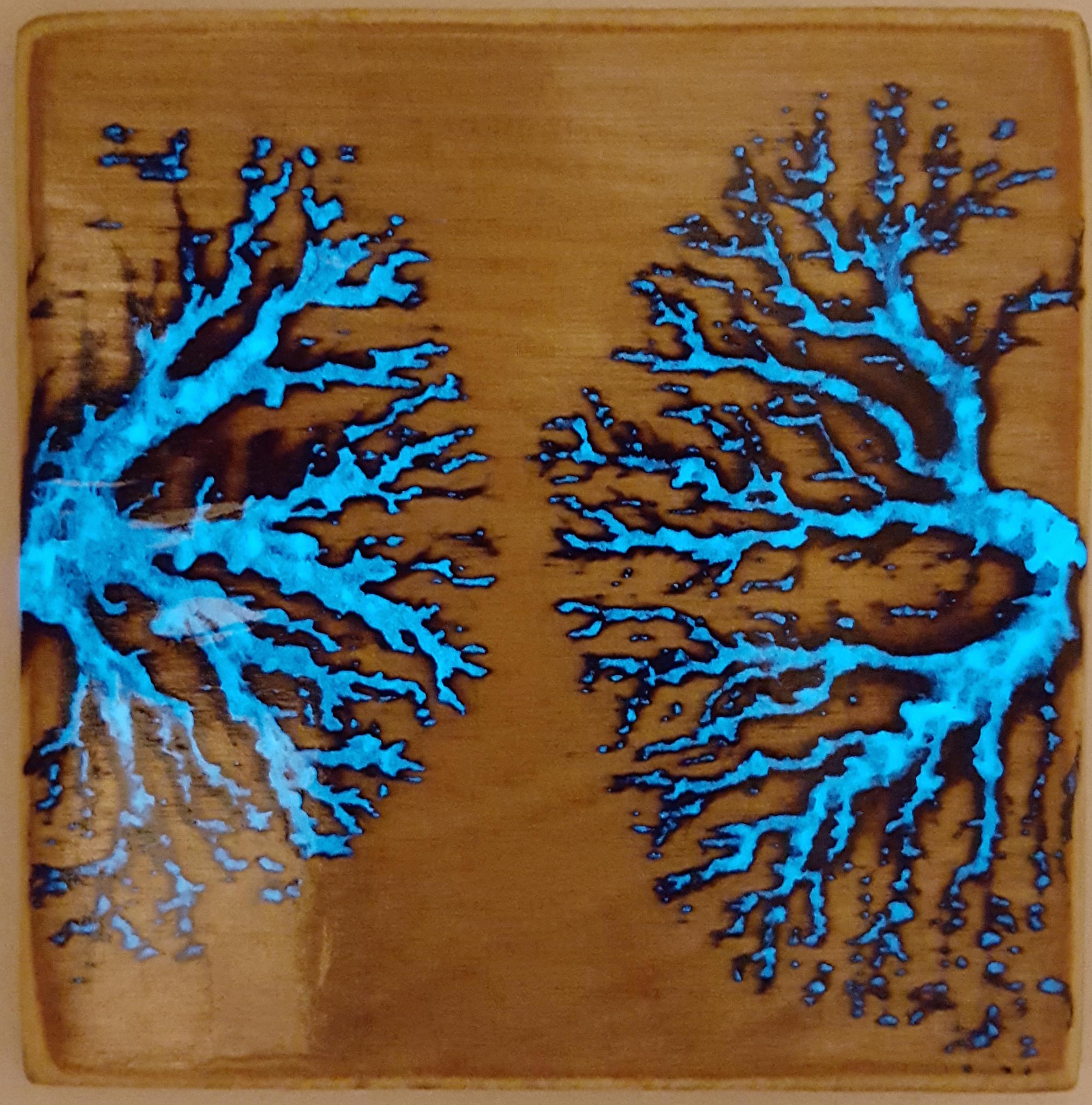 lichtenberg figure / Boing Boing