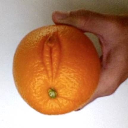 Orange Pubic Hair Picture | 10 june 2015 boing boing Orange Pubic Hair Picture | 10 june 2015 boing boing