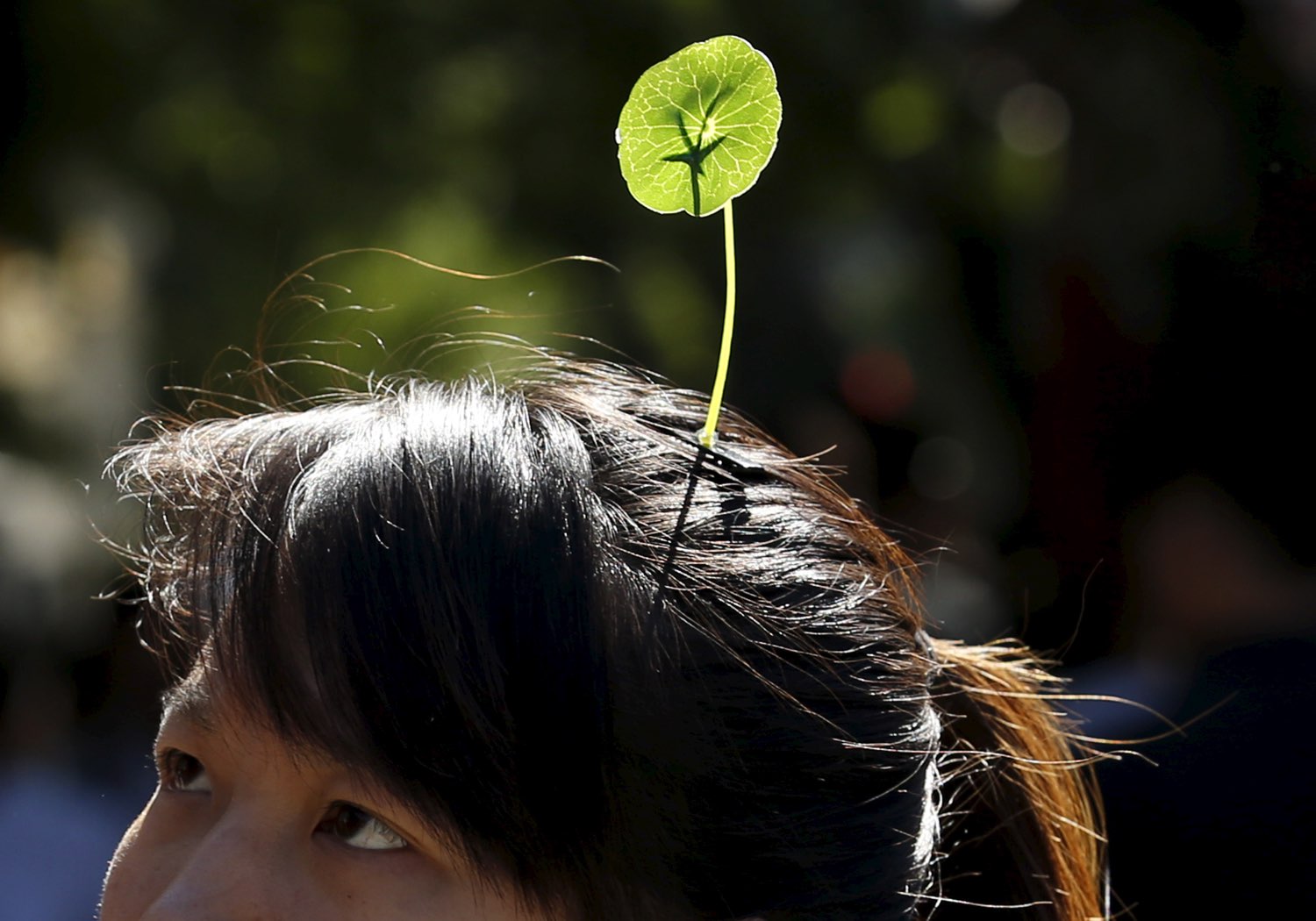 A woman wearing a sprout in Beijing, Sep. 25, 2015.  Reuters.