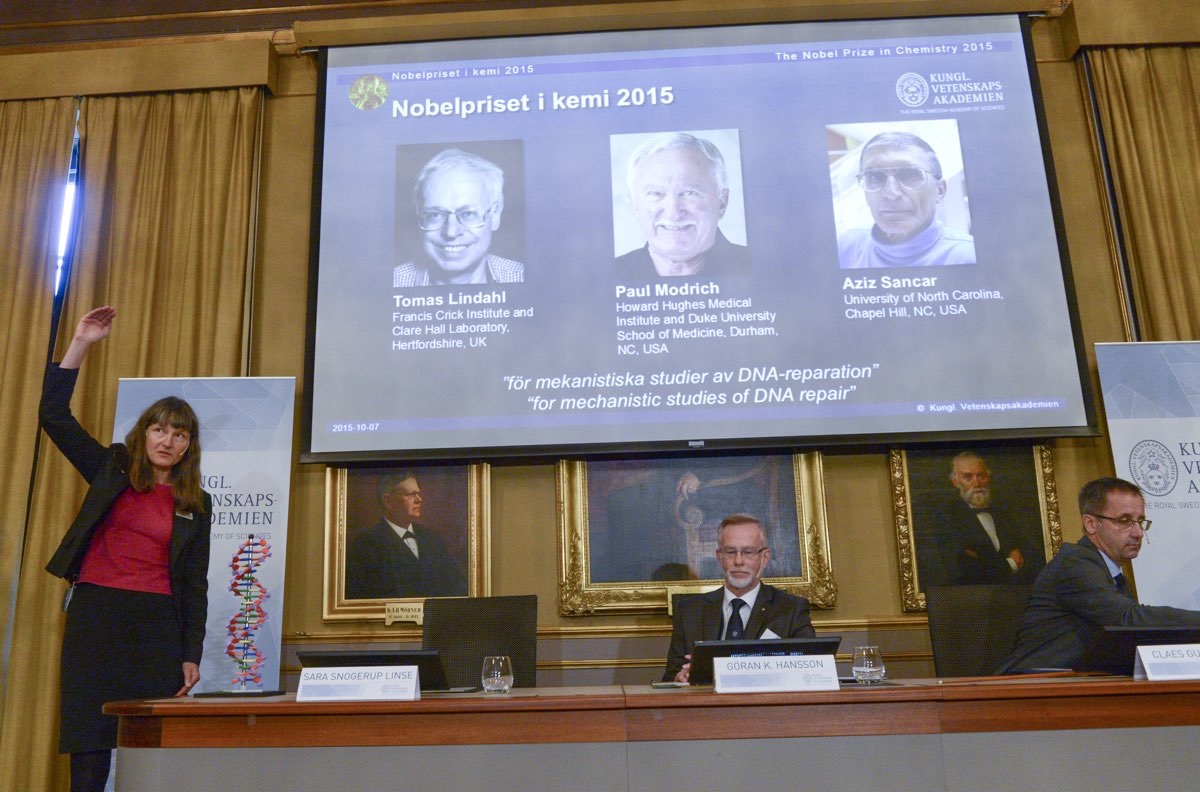 Professors Sara Snogerup Linse, Goran K. Hansson and Claes Gustafsson, members of the Nobel Assembly, reveal the 2015 winners at the Royal Swedish Academy in Stockholm.  [Reuters]