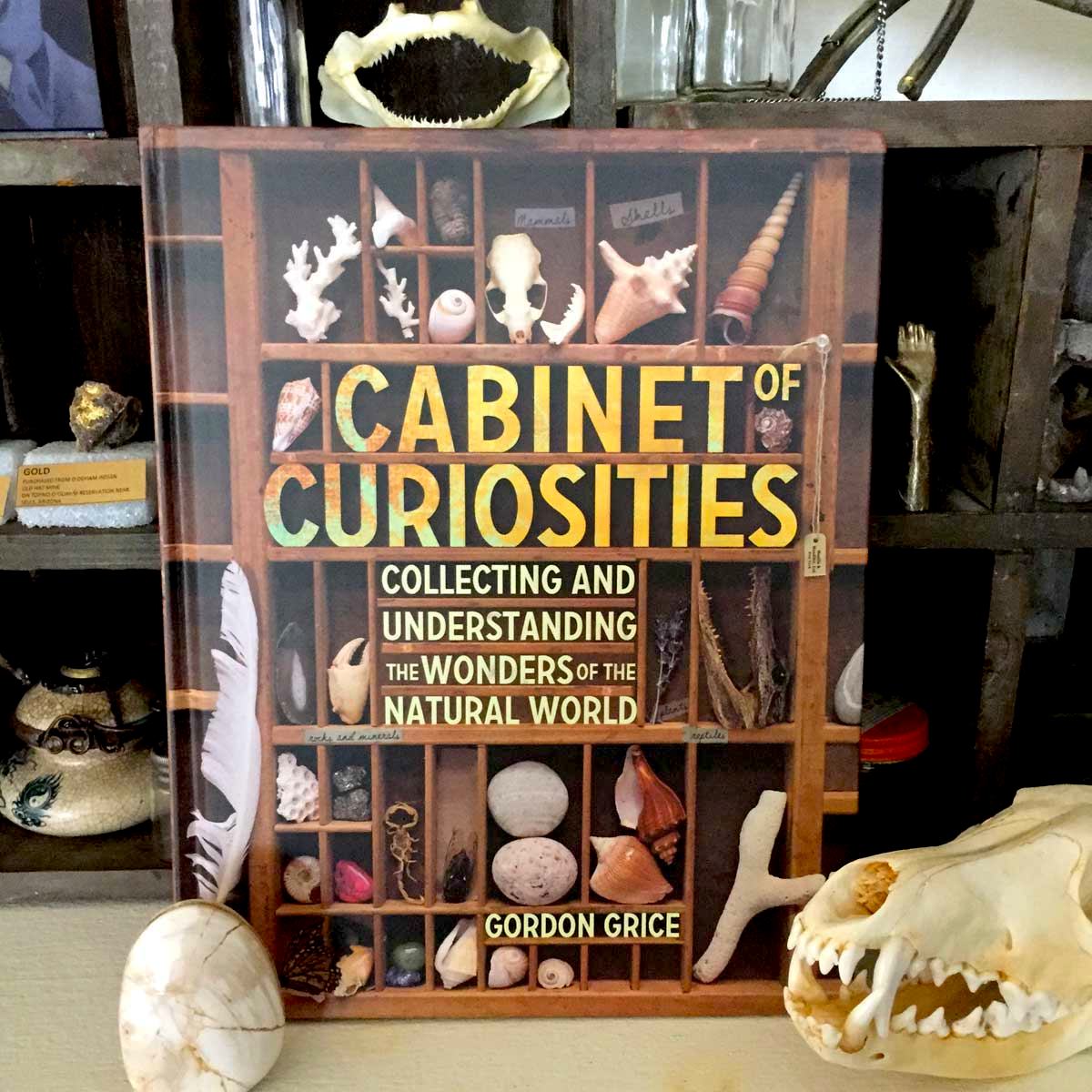 Cabinet Of Curiosities A Unique Book Of Natural Science For