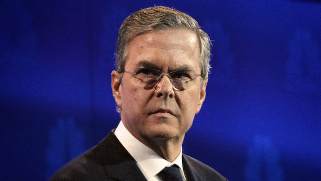 jebbush