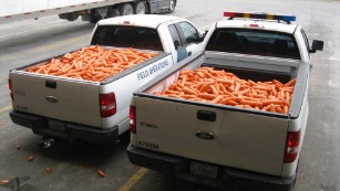 160113182556-marijuana-carrots-texas-border-patrol-in-trucks-medium-plus-169