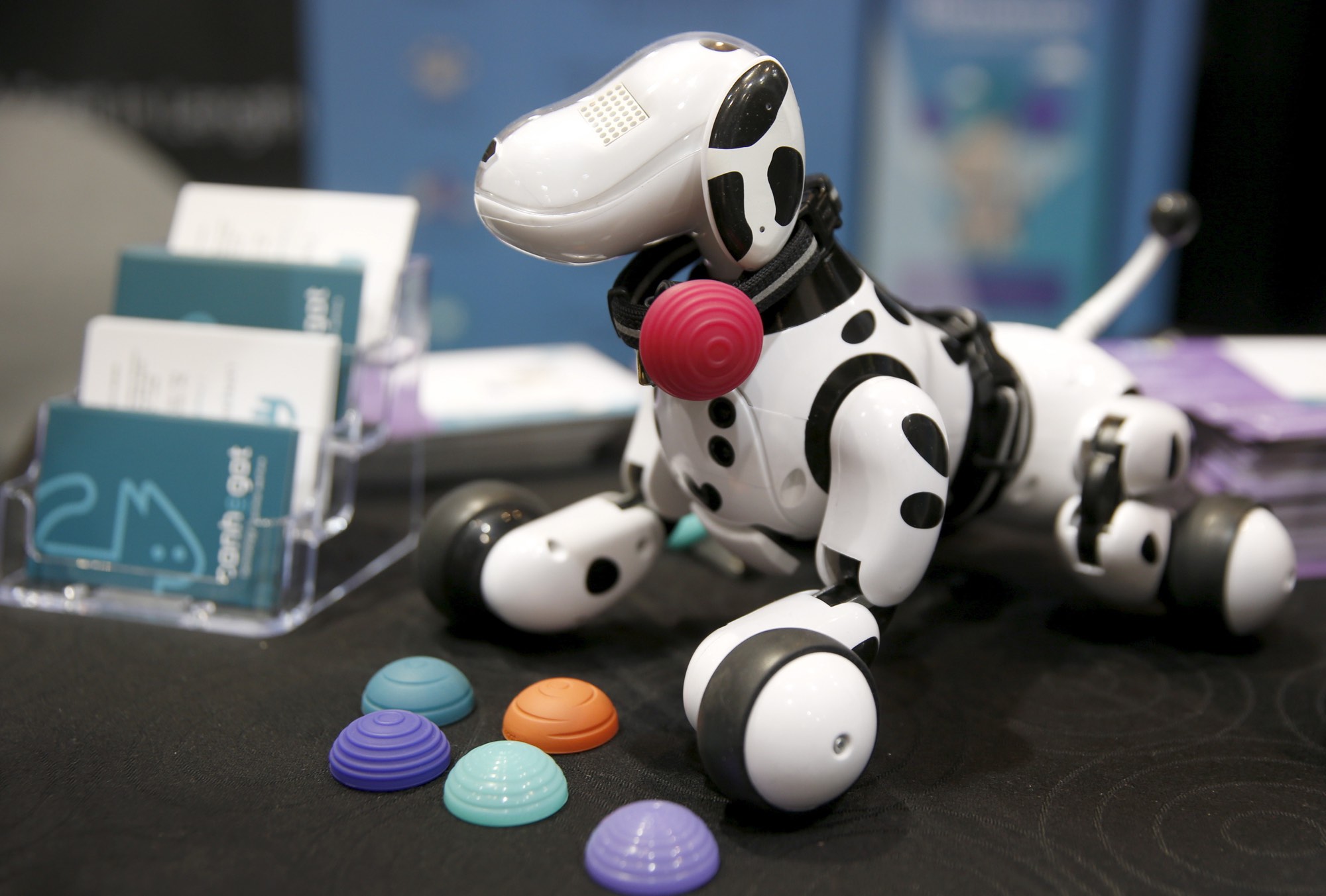 A Canhe-Fit pendant for pets is displayed on a toy dog. The fitness tracker monitors your pet's activity level, then an App gives nutritional advice depending on the breed, age and weight of the pet. REUTERS