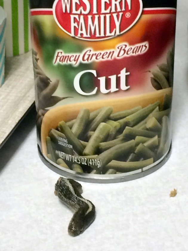 Snake-Head-Found-In-Can-of-Green-Beans
