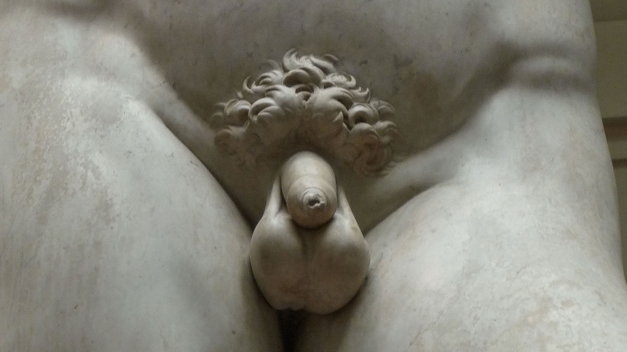 penis-statue-michelangelo