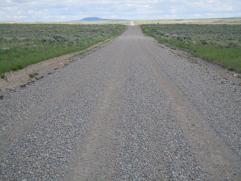 800px-Atomic_City_gravel_road_and_associated_vegetation_(5883116984)