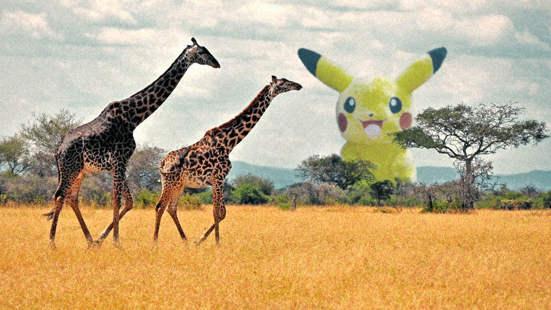 pikachu-wild-pokemon