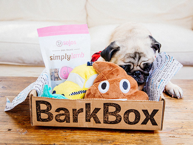 Image result for barkbox