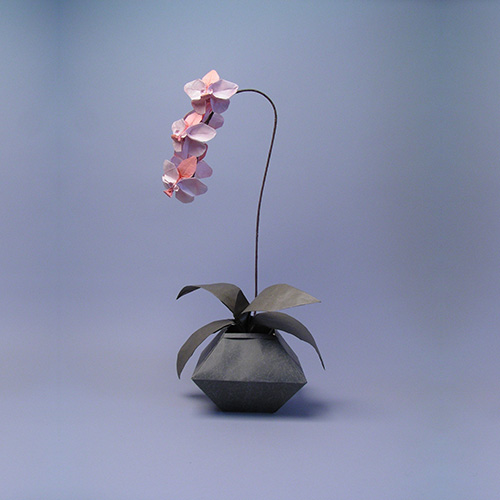 orchid-origami_500