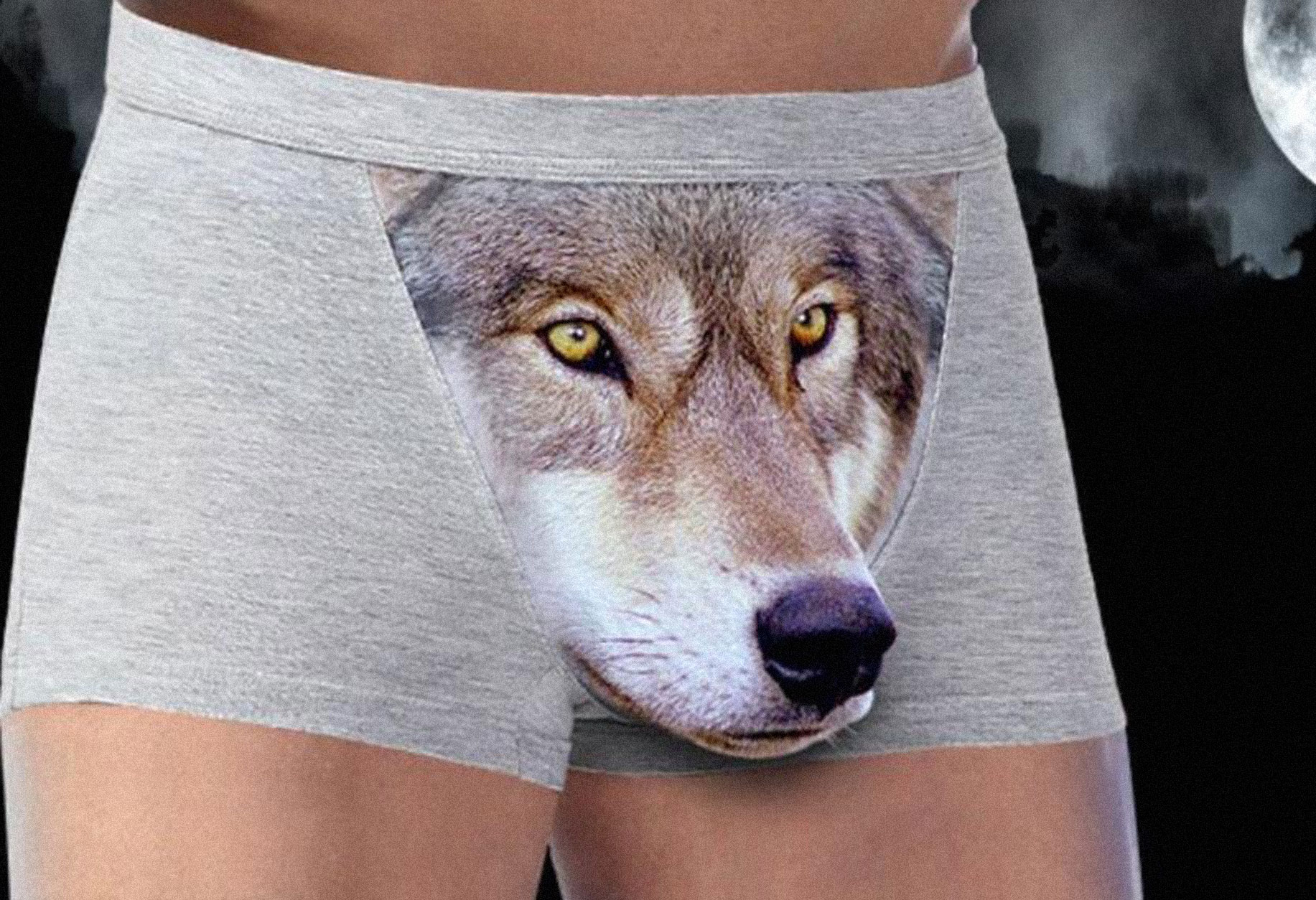 wolf-underwear