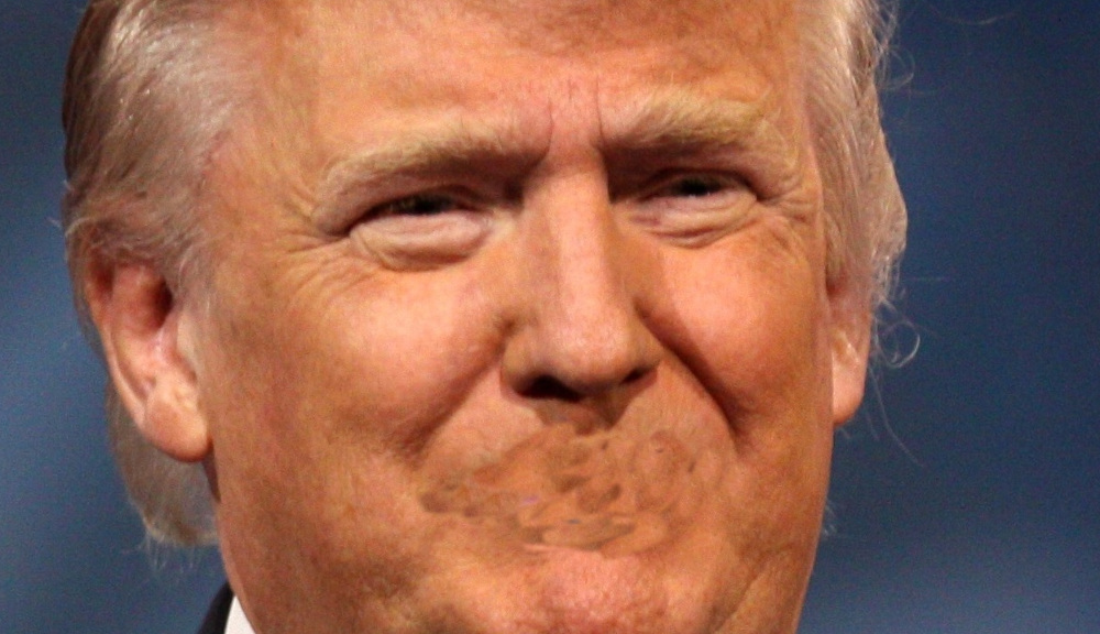 donald_trump_2013_cropped_more