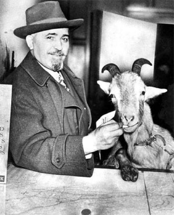 Billy Goat Tavern owner Billy Sianis' pet goat Murphy was lacking in hygiene and was thusly ejected from Wrigley Field in 1945. 