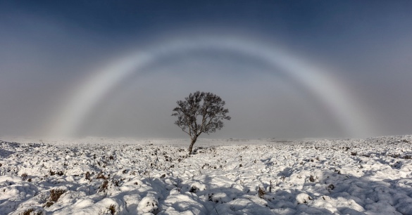 fogbow