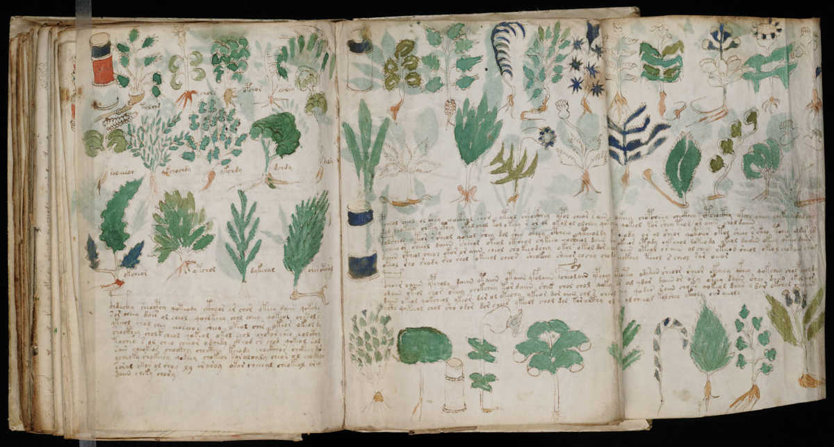 voynich manuscript - boing boing