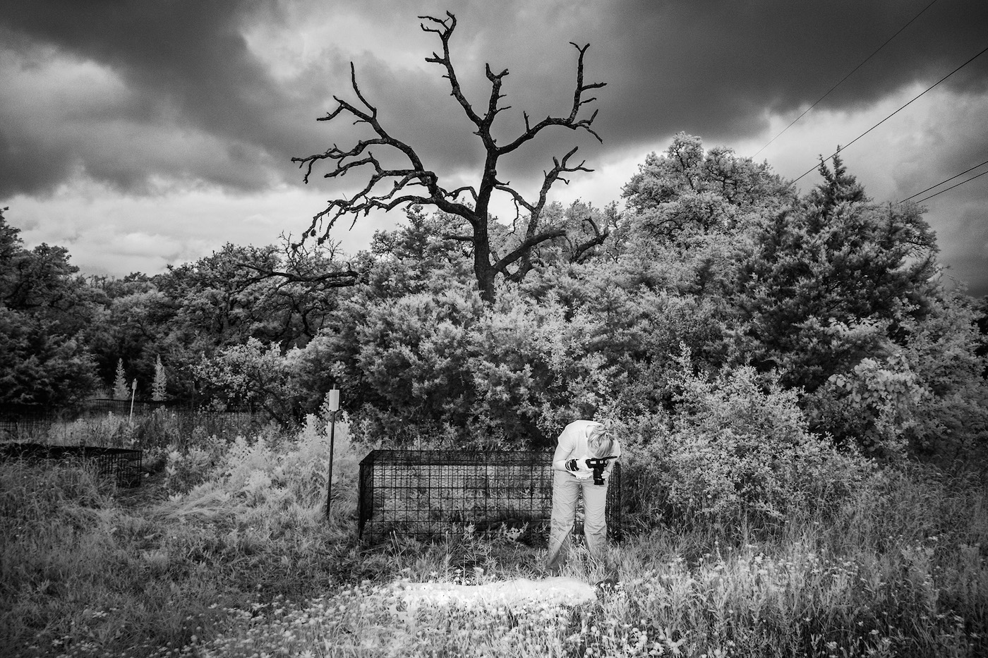 Photos From The Body Farm Boing Boing