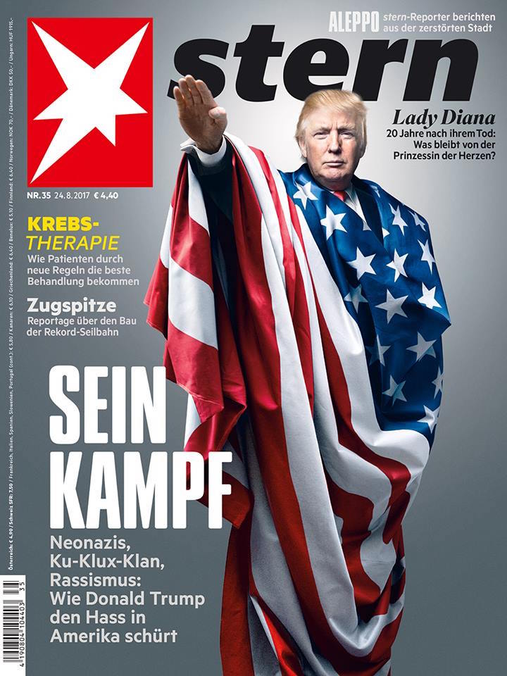Image result for trump flag nazi