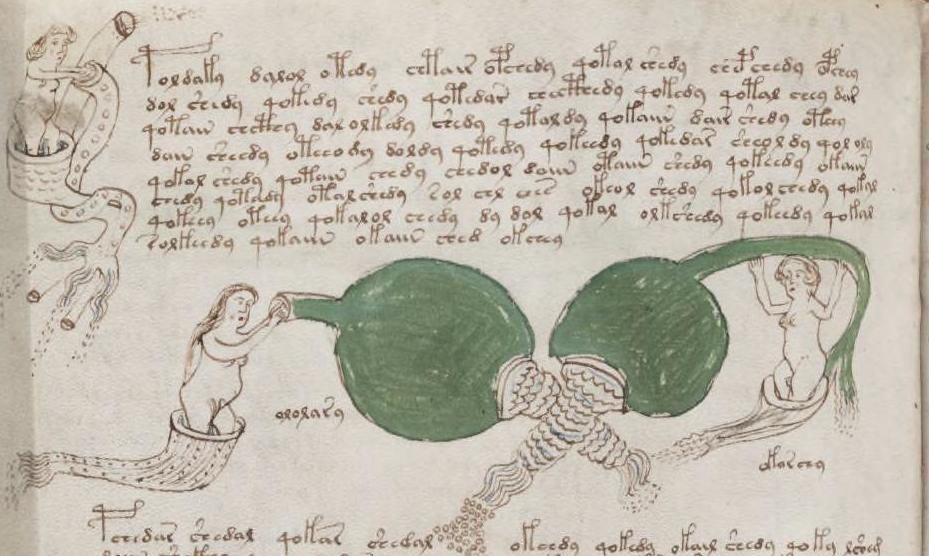 Image result for voynich manuscript