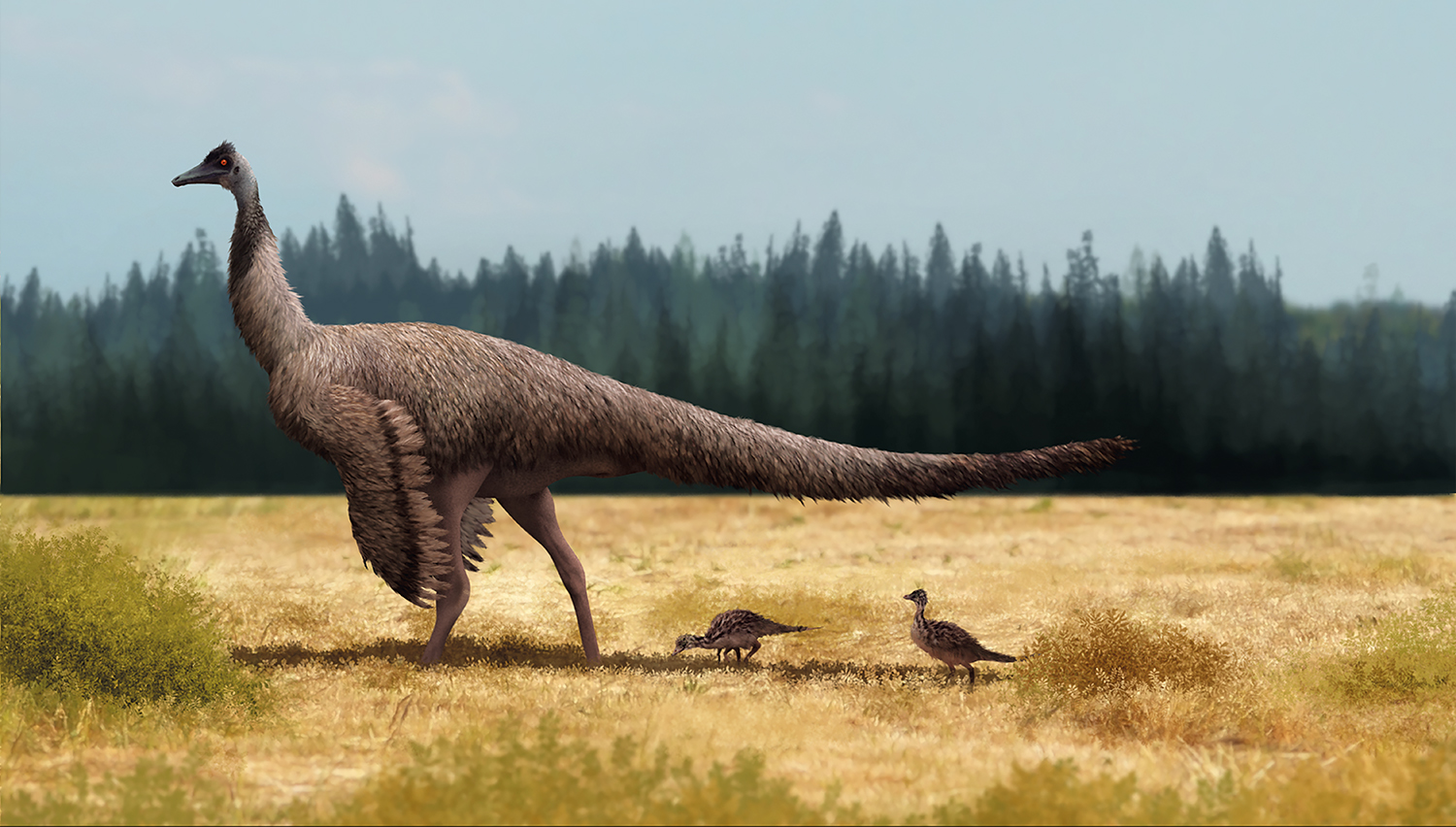 p156-ornithomimus.jpg