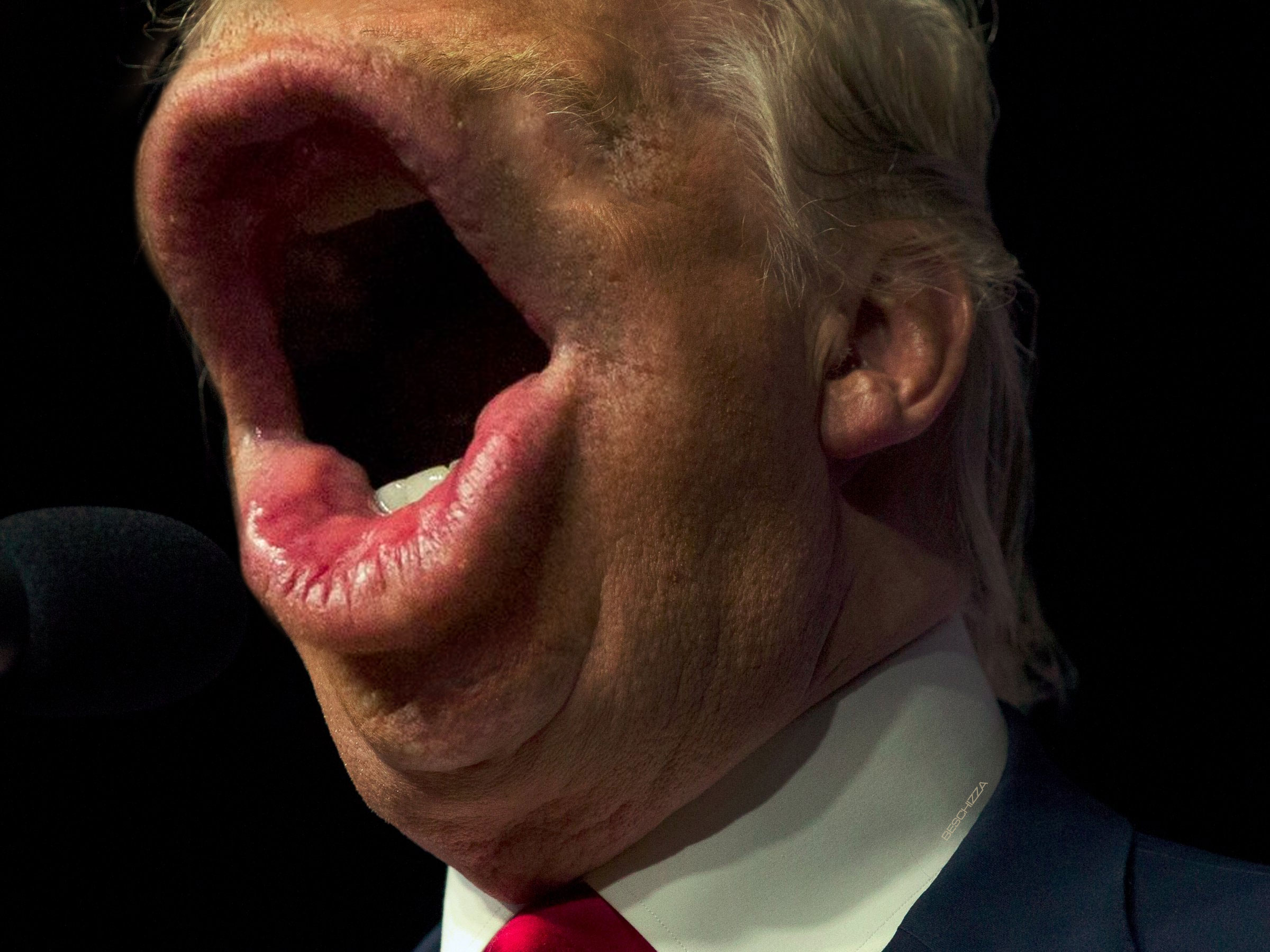 https://media.boingboing.net/wp-content/uploads/2017/11/trump-mouth.jpg